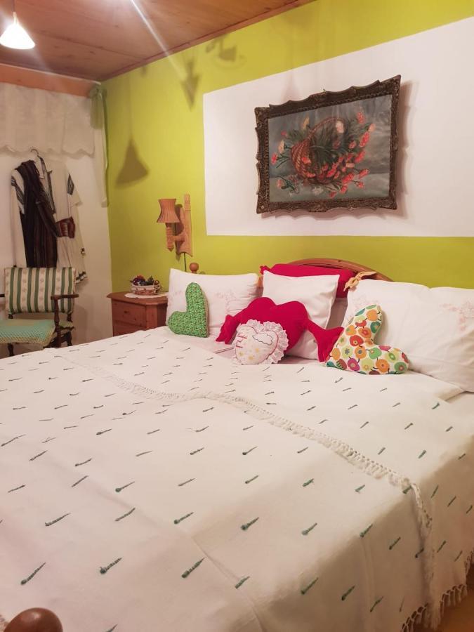 Littel Green Old Home Sighisoara Luaran gambar