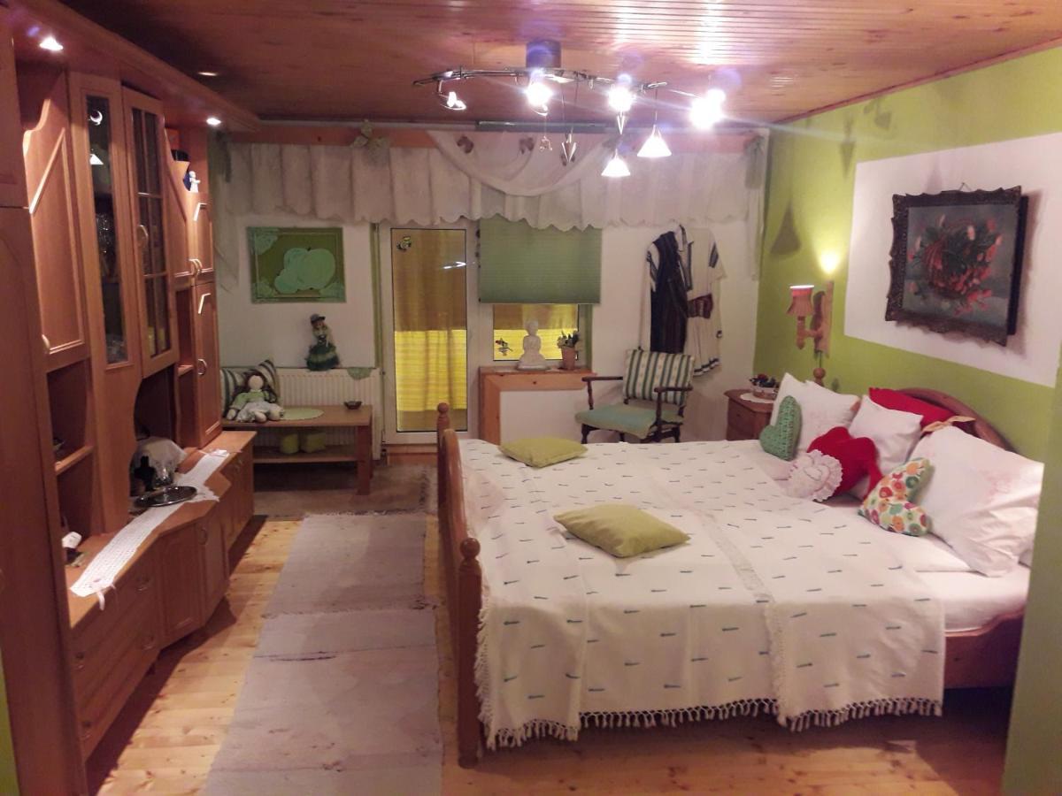 Littel Green Old Home Sighisoara Luaran gambar