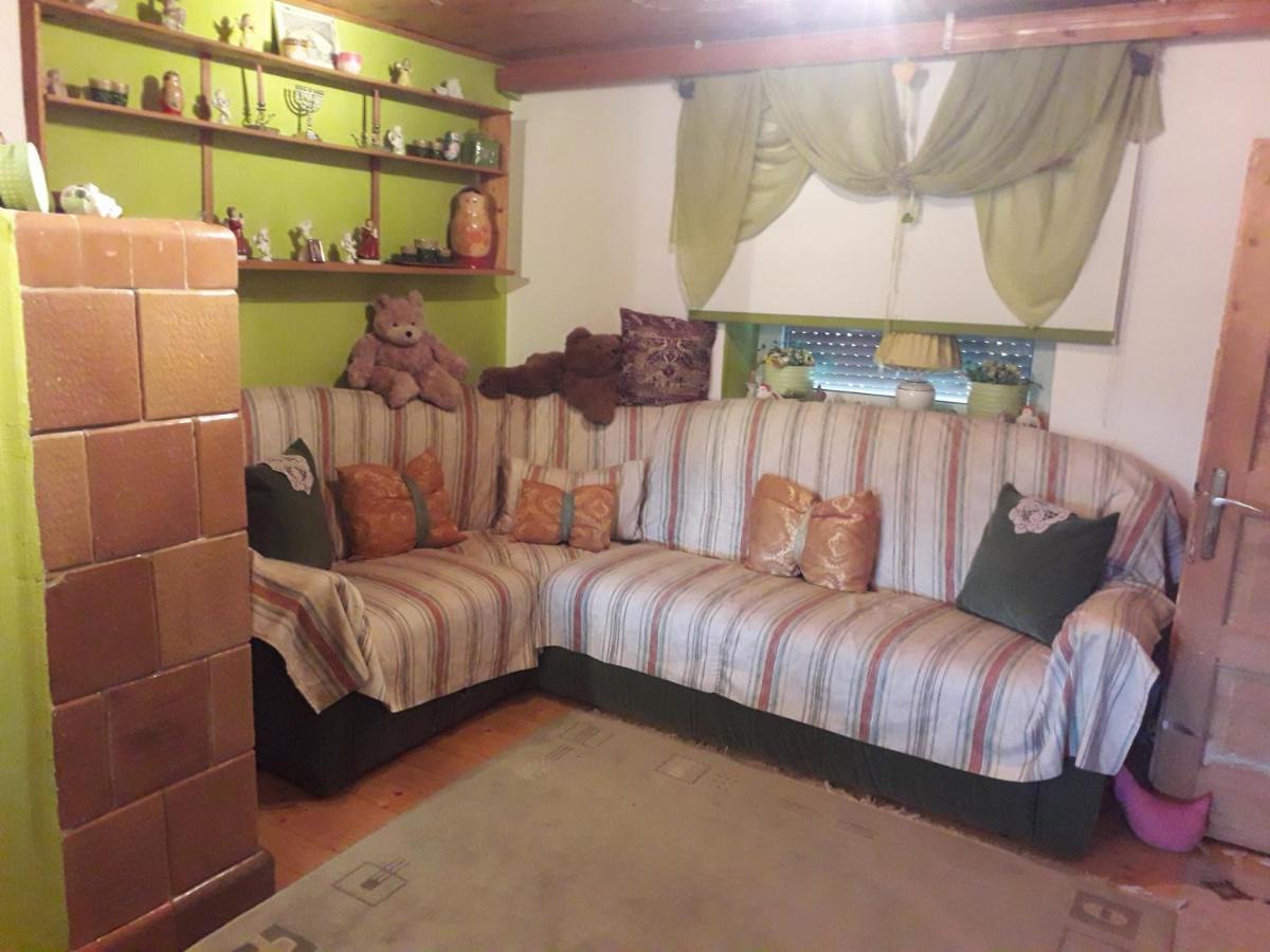 Littel Green Old Home Sighisoara Luaran gambar